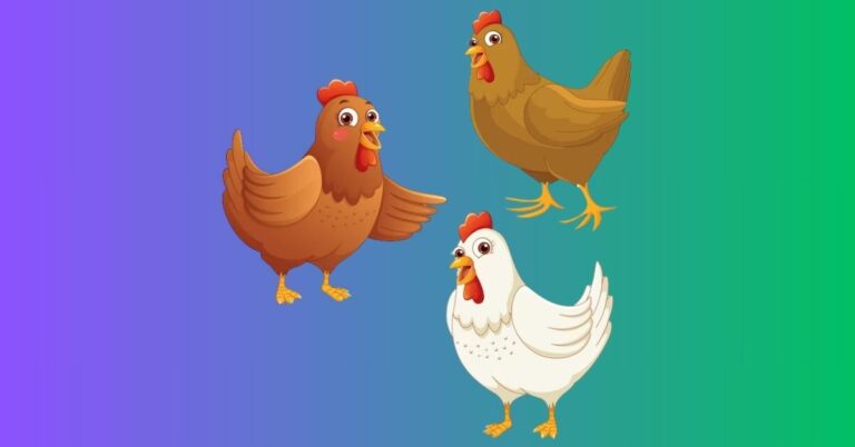 chicken breeds with mohawks