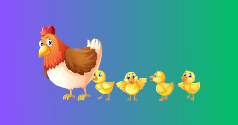 do chickens like raisins