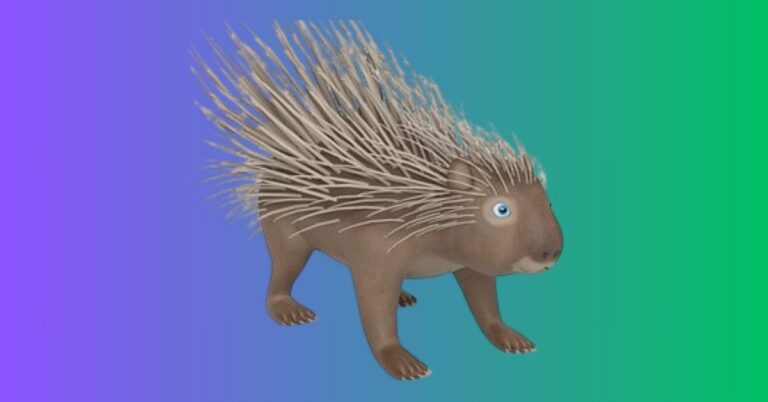 Porcupines in Georgia