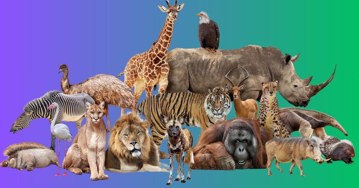 How Many Animals Are In The World