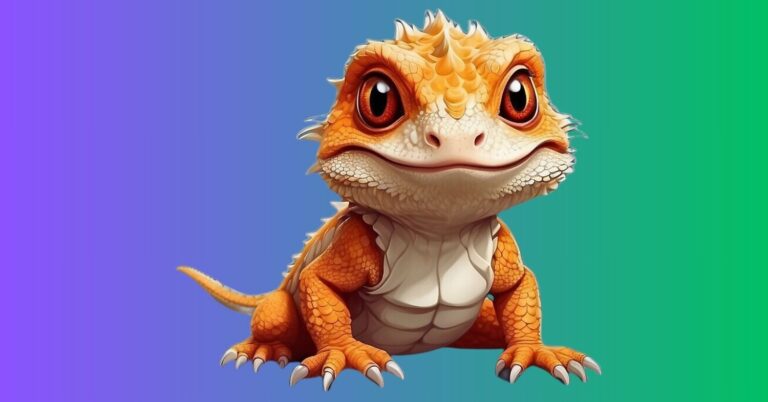 how bearded dragons sleep