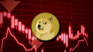 Doge Software Licenses Audit HUD