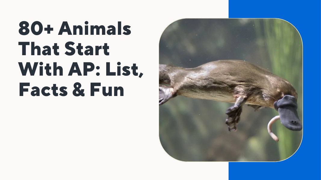 Animals That Start With Ap