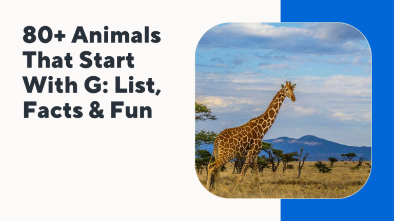 Animals That Start With G