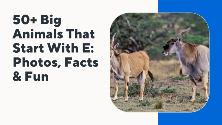 Big Animals That Start With E